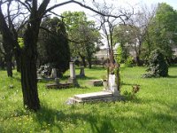 Buzlay-Varjú család